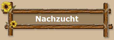 Nachzucht