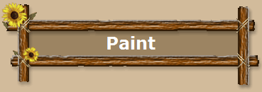 Paint