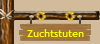 Zuchtstuten