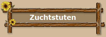 Zuchtstuten